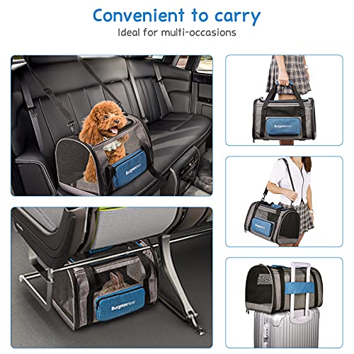 BurgeonNest Cat Carrier, Airline Approved Dog Carrier, Soft Sided Cat Pet Carrier for Small Medium Cats Dogs Under 10 lbs with Side Bag, Collapsible Travel Kitten Puppy Carriers, Blue - color: Blue, size: 17.5"L x 11.0"W x 11.0"H