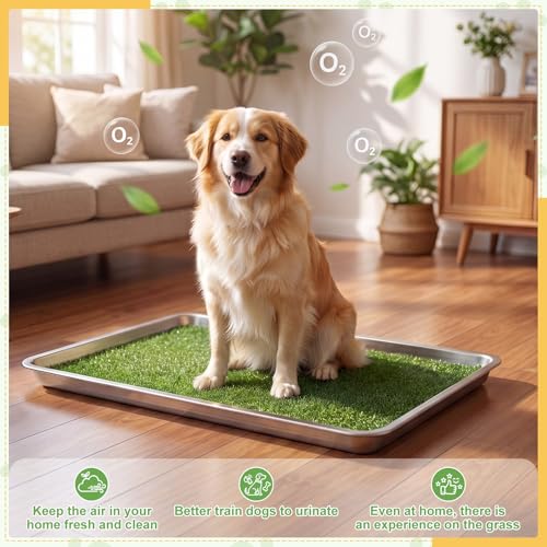 Mifoci 4 Pcs Dog Pee Tray, 31.5" x 19.6" Stainless Steel Dog Toilet, Comes with 2 Grass Mats and 1 Drainage Mat - Durable, Rust-Proof, Easy to Clean Toilet for Large Indoor Outdoor Use