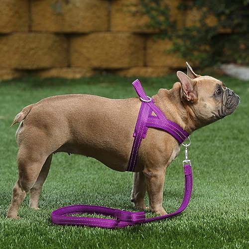 Plutus Pet No Pull Dog Harness with Breathable Mesh Padded, Adjustable Reflective Escape Proof Dog Harness, Quick Fit Dog Vest Harness for Small Medium Large Dogs(M, Purple) - color: Purple, size: M: chest 19.7"-25.2"