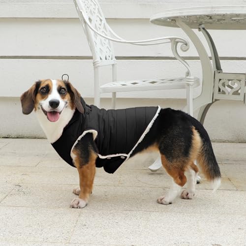 Vecomfy Fleece Lining Dog Hoodie with Harness Built in,Extra Warm Small Dog Jacket in Winter Puppy Coats with Drawstring Hooded,Black XS - color: Black(Harness Built in), size: X-Small (Pack of 1)