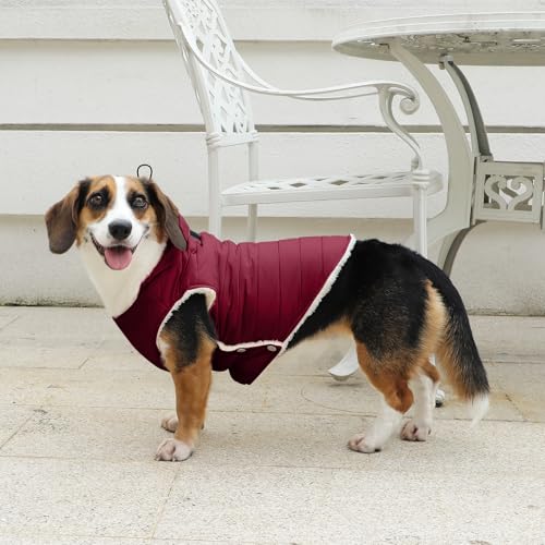 Vecomfy Fleece Lining Dog Hoodie with Harness Built in,Extra Warm Small Dog Jacket in Winter Puppy Coats with Drawstring Hooded,Red XS - color: Red(Harness Built in), size: X-Small (Pack of 1)
