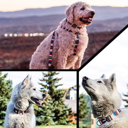Wolfgang Heavy Duty, Adjustable Dog Collar with Quick Release Nylon Buckle for Walking & Training, LostArt Print, Small - color: LostArt Print, size: Small (5/8 Inch x 8-12 Inch)