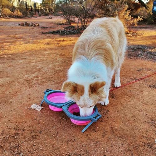 Loving Pets Bella Roma Double Diner Collapsible Dog Bowls - Silicone Dog Bowls, Foldable Bowl, Puppy Essentials & Hiking Pet Supplies Great for Home & Travel (Pink, Small) - color: Pink