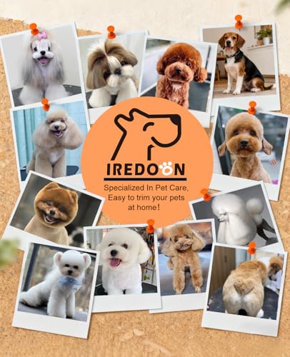 IREDOON 2026 New Pet Precision Trimmer, 35dB Low-Noise Dog Paw Trimmer with LED Light, Safe Curved Ceramic Blade Electric Pet Paw Grooming Kit for Dogs & Cats Paw, Ear, Face, Butt, Eyebrows
