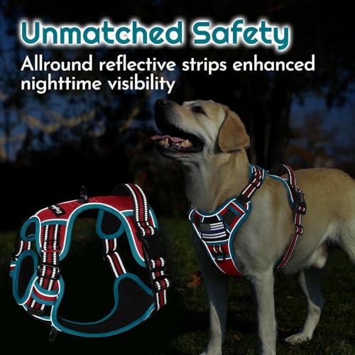 Eagloo Dog Harness Medium Sized, Easy Wearing with 3 Buckles, Adjustable No Pull Pet Harness with 2 Rings for Walking, No Chock Reflective Soft Padded Vest with Control Handle, Red & Teal, M - color: Red & Teal, size: Medium