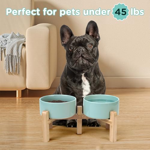 SPUNKYJUNKY Elevated Dog Bowls Ceramic, 6.1'' Dogs and Cat Food Water Bowls Raised with Non-Slip Bamboo Stand for Medium Sized Breed Microwave Dishwasher Safe - 28.7 OZ,Light Green - color: Light Green, size: 6.1 in - 3.6 cups