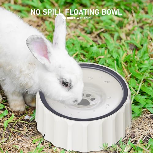 Dog Water Bowl No Spill 70oz/2L Large Capacity Dispenser Non Slip No Splash Bowl Pet Slow Feeder No Drip Dog Water Bowl on Vehicle Slow Water Bowl for Dogs and Cats - color: White