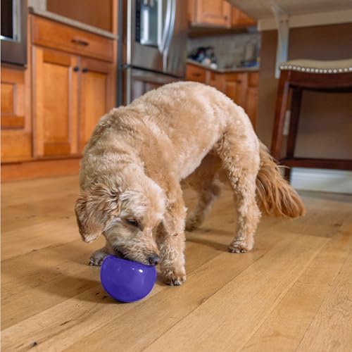 Outward Hound by Planet Dog Lil' Snoop Dog Toy – Treat‑Dispenser Puzzle Ball, Interactive Slow Feeder, Small to Medium Dogs, Bouncy & Mint-Infused, Purple, 3.9" - color: Purple Lil Snoop