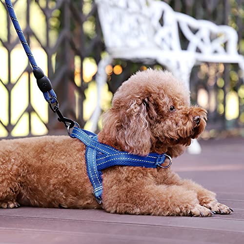 Plutus Pet No Pull Dog Harness with Breathable Mesh Padded, Adjustable Reflective Escape Proof Dog Harness, Quick Fit Dog Vest Harness for Small Medium Large Dogs(XS, Navy Blue) - color: Navy Blue, size: XS: chest 13.8"-17.3"