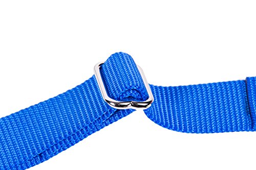 GOGO Pet Products 3/4-Inch Martingale Dog Collar, Medium, Blue - color: Blue, size: Medium (3/4" web width)