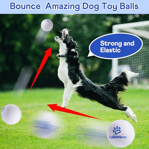 Durable Dog Herding Ball – ETPU Interactive Bouncy Fetch Toy for Small & Medium Dogs – Lightweight Floating Water Ball - color: 1 Balls