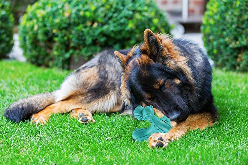 Dog Chew Toys for Aggressive Chewers Large Breed,Indestructible Bones Toy,Durable Cleaning Toothbrush Natural Rubber Dog Toys… (Blue) - color: Blue
