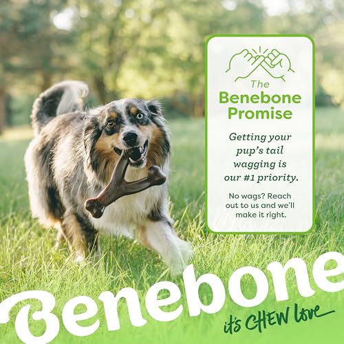 Benebone 2-Pack Wishbone Durable Dog Chew Toy for Aggressive Chewers, Real Bacon Made in USA, Medium - size: 2 Pack - Medium