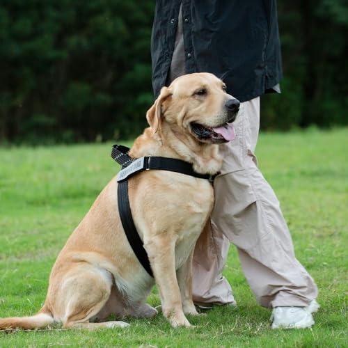 Service Dog Harness and Leash Set, No-Pull Service Dog Vest with 4 PCS Reflective Patches, Dog Vest Harness with Handle, Pet Harness for Small Medium Large Dogs in Training (Black, M) - color: Black (Leash + Harness + 4 Patches), size: Medium (Chest: 22-2