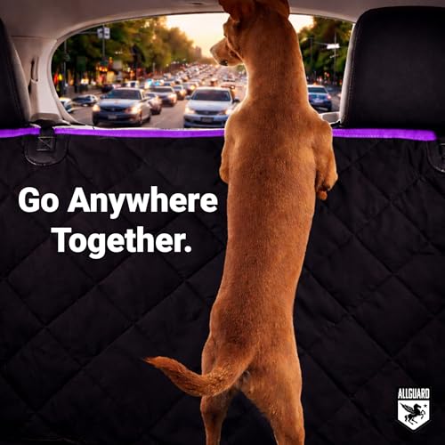Dog Car Seat Cover, Back Seat Pet Cover - Waterproof, Scratchproof, Nonslip, Backseat Protection from Fur, Dirt, Accidents, Car Size, Black/Purple Color, Safety Harness Included - color: Black with Purple Trim, size: Car Size (Standard)