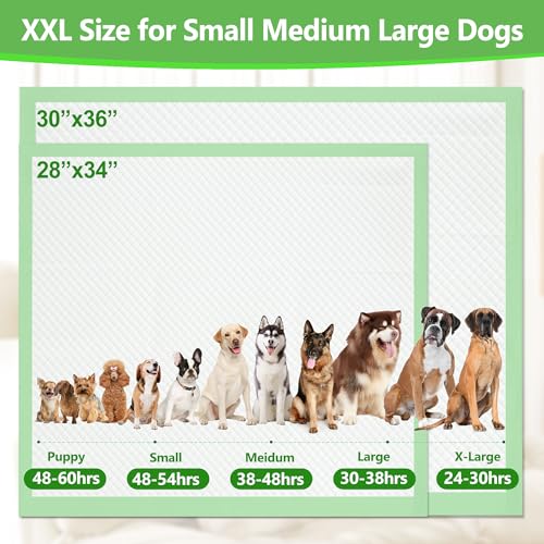 Gimars XL 6-Layer Ultra Absorbent 1200ml 48-Hour Leak-Proof Dog Pee Pads, Quick Dry Extra Large Puppy Pads for Puppy Training, Senior & Incontinent Dogs, Cats, Overnight Use, 30"x36", 30 Count Green - size: 30"x36" - Green 30 Counts
