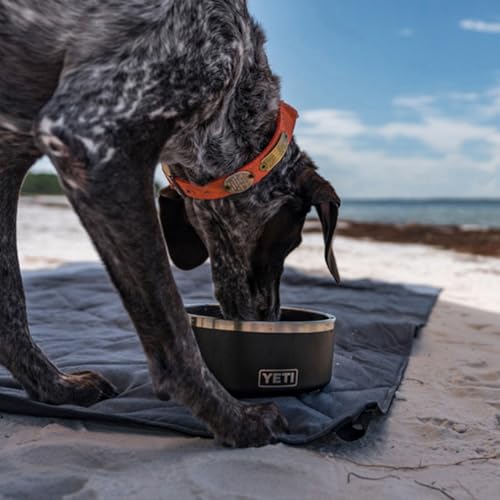 YETI Boomer 8, Stainless Steel, Non-Slip Dog Bowl, Holds 64 Ounces - color: Black Forest Green