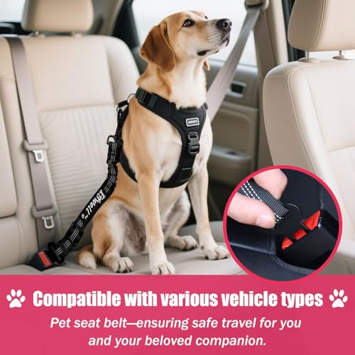IBWell Dog Seat Belt,3 Piece Set Retractable Dog Car Harness Adjustable Dog Seat Belt for Vehicle Nylon Pet Safety Seat Belts Heavy Duty & Elastic (Black & Red) - color: Black & Red