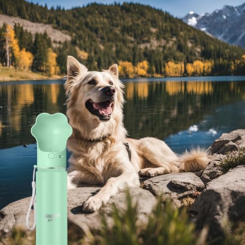 Stainless Steel Dog Travel Water Bottle, Vacuum Insulated Portable Dog Water Dispenser, Large Bottle with Drink Cup On The Go, Outdoor Walking, Hiking, Travel (Mint, 22oz) - color: Mint