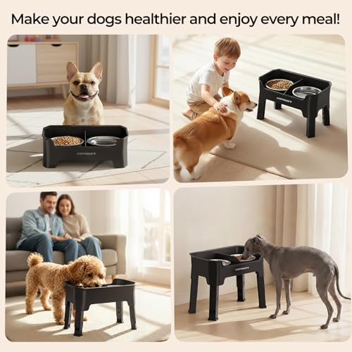 URPOWER Mess Proof Elevated Dog Bowls, High Wall Splash Guard Design, 4 Height Adjustable Raised Bowl Stand, 2 Stainless Steel Bowls, Non-Slip Food Water Set for Small Dogs - color: Black, size: Small