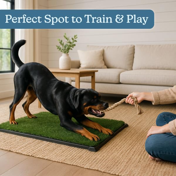Artificial Grass Puppy Pee Pad for Dogs and Small Pets - 41X27 Inch, Reusable 4-Layer Turf Pads for Dogs with Tray - Indoor and Outdoor Fake Grass Potty Pet Supplies by PETMAKER - size: XXL 4-Layer System