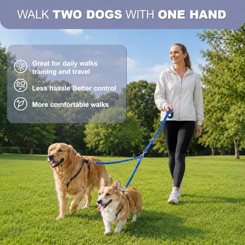 Double Dog Leash for Two Dogs, Complete Set with 31.5" Main Leash + Adjustable Splitter, Padded Handle, D-Ring, 360° Swivel, Shock-Absorbing Bungee, Reflective for Small Medium Large Dogs (Blue) - color: Blue