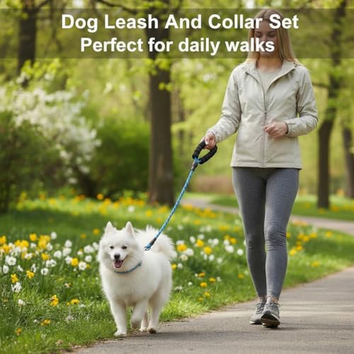 Dog Leash and Collar Set – 6 FT Strong Rope Leash with Padded Handle & Adjustable Nylon Collar Reflective for Small Medium Large Dogs (Blue, S) - color: Blue, size: S