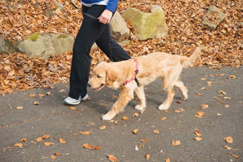 Petsafe Deluxe Easy Walk Harness, Small, Rose Pink, EWH-D-HC-S-RSE - color: Rose Red, size: Small (Pack of 1)