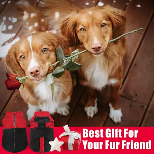 Idepet Dog Fleece Vest Sweater Zip Up Warm Pullover Dogs Jacket with D-Ring Leash Winter Cold Weater Coat Pet Sweatershirt Clothes Hoodie for Small Medium Dogs Boy Girl (Red/Black, XS) - color: Red/Black, size: XS