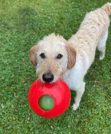 Jolly Pets Teaser Ball Dog Toy, Small/4.5 Inches, Red (1504 RD) - color: Red, size: Small (4.5 in)