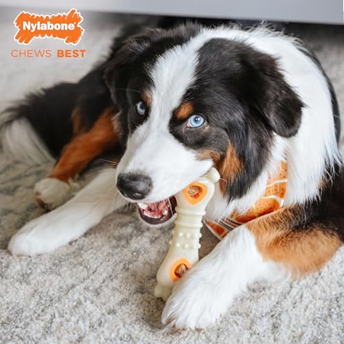 Nylabone Power Chew Knuckle Bone Pop-In Treat Toy for Dogs, Interactive Treat Dispensing Dog Chew Toys to Keep Them Busy, Slow Feeder, Long Lasting Chicken Flavor, Large Dogs - Up to 50 lbs - size: Large/Giant