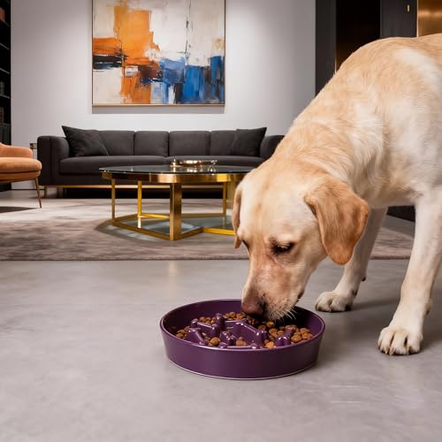 Ceramic Slow Feeder Dog Bowls, Ceramic Slow Feeder Maze Dog Food Bowl, Slow Eating Dog Bowl and Slow Feeder Dog Bowl Anti-Choking for Daily Pet Feeding (Purple Bone) - color: Purple Bone