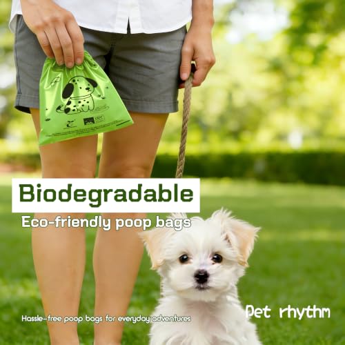 Biodegradable Dog Poop Bags, 240 Bags with Free Dispenser | ASTM D6400 & EN 13432 Compliant BPI Certified Poop Bags for Dogs, Unscented, Large, Earth Friendly Leakproof, Easy to Open - color: Green, size: 240 Count (Pack of 1)