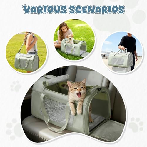 Large Cat Carriers Dog Carrier Pet for Small/Medium Cats Dogs Puppies,Soft-Sided Cat Bag Airline Approved,Carry Up to 20 Lbs,Green - color: A-Medium-Green
