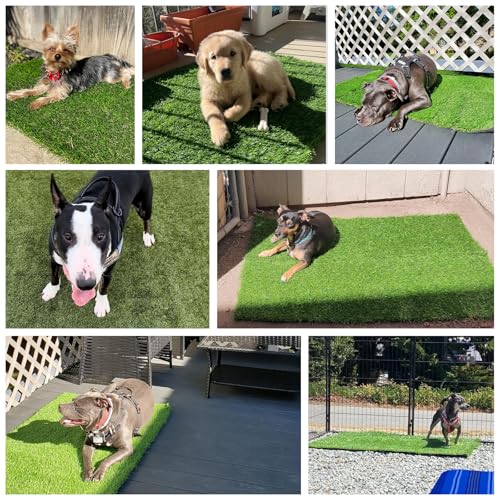 59" x 36" Fake Grass Mat for Dogs, Premium Washable Artificial Turf Grass Rug for Patio Lawn Balcony Door Dog Pet Pee Potty Training - size: 59"L x 36"W