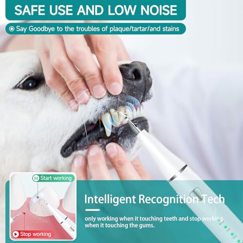 Plaque Remover for Teeth, Pet Ultrasonic Cleaner, Dog Plaque and Tartar Remover with LED Light, Dog Teeth Cleaning Dental Care Kit for Tartar and Stains, Suitable for Dogs and Cats (White) - color: White