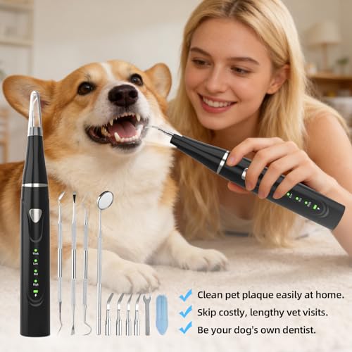 Plaque Remover for Teeth, Pet Ultrasonic Cleaner, Dog Plaque and Tartar Remover with LED Light, Dog Teeth Cleaning Dental Care Kit for Tartar and Stains, Suitable for Dogs and Cats (Black-1) - color: Black-1