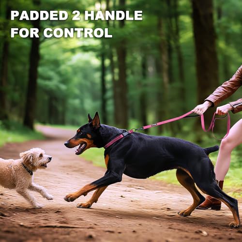 Heavy Duty Double Handle Dog Leash 6 ft Long for Total Control, Padded 2 Handle, Reflective Training Lead for Medium Large Dogs (Pink, 6 FT) - color: Pink