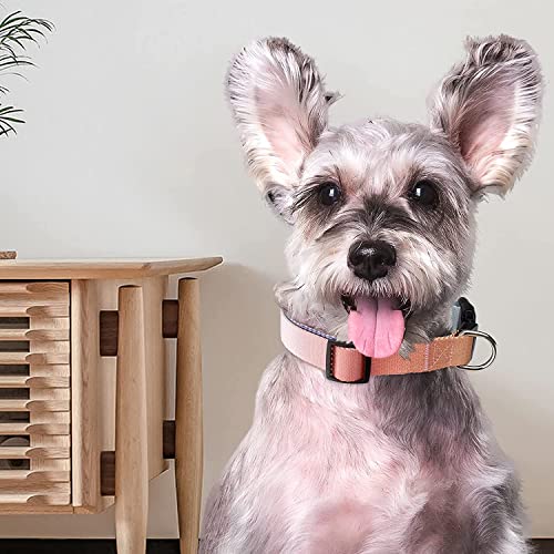 Roses&Poetry Reflective Small Dog Collar and Leash Set, Puppy Leashes with Collars, Adjustable Durable Matching Nylon Pet Collar Leash for Walking,Playing,Training (Azure-XS) - color: Azure, size: XS