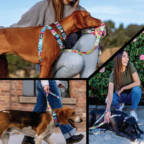 Wolfgang Heavy Duty, Adjustable Dog Collar with Quick Release Nylon Buckle for Walking & Training, LazyDaisy Print, Small - color: LazyDaisy Print, size: Small (5/8 Inch x 8-12 Inch)