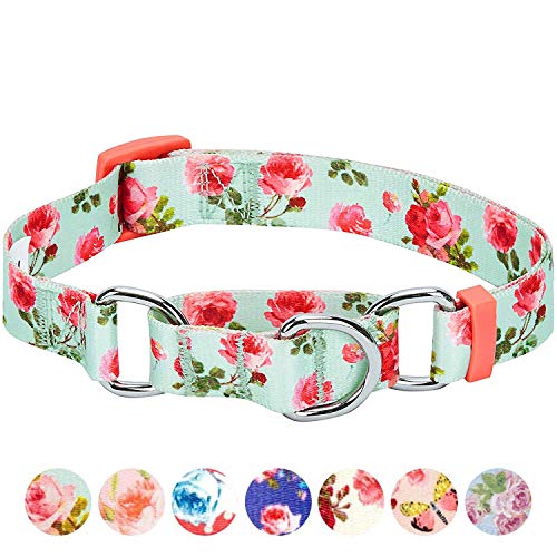 Blueberry Pet Spring Scent Inspired Rose Print Martingale Safety Training Dog Collar, Turquoise, Small, Heavy Duty Adjustable Collars for Dogs - color: Turquoise, size: Small