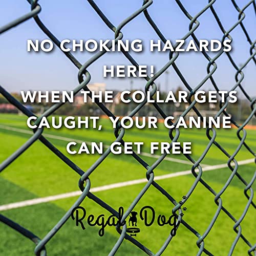 Regal Dog Products Medium Red Reflective Dog Collar with Custom Engraved Name Plate and Heavy Duty Center Ring | Waterproof Biothane Personalized Dog Collars - Other Sizes for Small & Large Dogs - color: Red, size: Medium