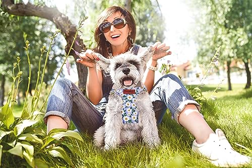 OaaXbbECco No Pull Floral Pattern Puppy Harness,Soft Adjustable Dog Harness Vest and Dog Leash Set No Choke Escape Proof (Purple Daisy, XS) - color: Purple Daisy, size: XS