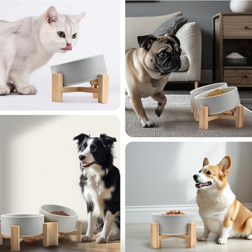 SPUNKYJUNKY 15° Slanted Ceramic Dog and Cat Bowl with Wooden Stand, Tilted Bulldog Food and Water Bowl No Slip Non-Spill for Cats Medium Dogs Big Face Pets 28.7 OZ (3.6 Cups, Grey) - color: Grey, size: 3.6 CUPS × 1