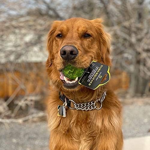 Hyper Pet DuraSqueak Dog Ball Toy, Interactive, Floats, Squeaks, Dog Balls for Fetching, Alternative to Traditional Tennis Balls - for All Breeds - size: 2.5 inch (2 Pack)