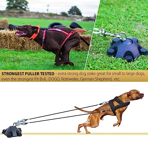 PAWSTATION 360 Degree Swivel Dog Tie Out Stake and Cable Small to Large Dogs Up to 150lbs - 20 ft Dog Yard Leash and Stake 5 Strong Tether Holds 1000lbs of Pull Force Yard Camping Outdoor Black PK-20