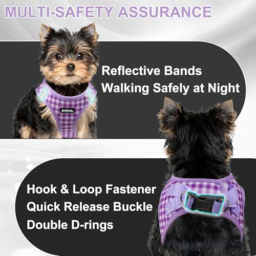 AIITLE Small Dog Harness with Leash – Soft Breathable Mesh, Plaid Pattern & Reflective Strips – Ideal for Training, Running & Party Outings (S, Purple) - color: Purple, size: S