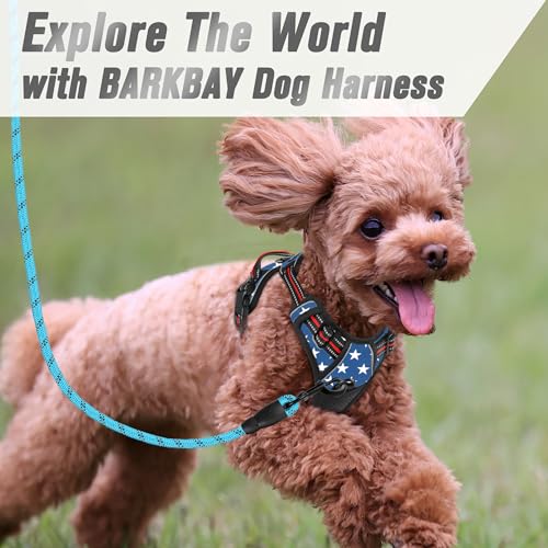 BARKBAY No Pull Dog Harness Front Clip Heavy Duty Reflective Easy Control Handle for Large Dog Walking(Star,XS) - color: Blue Star, size: X-Small(Chest:15.5-19.5”)