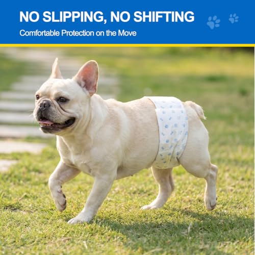 Wowflash 100 Count Dog Belly Bands for Male Dogs, Male Dog Diapers Disposable, Leakproof Dog Wraps with Wetness Indicator, Breathable Quick-Dry, Secure Fit for Doggy Puppy Training, Small - size: Small