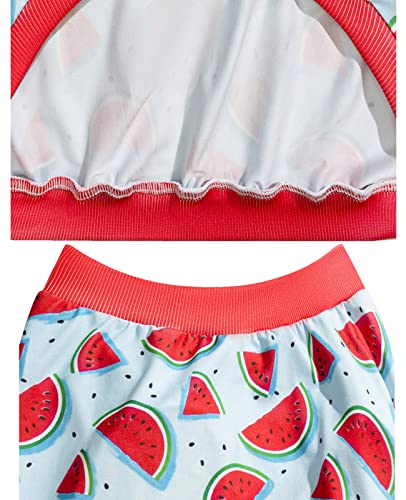 Dog Sleeveless T Shirt Red Watermelon Prints Vest Shirt Soft Stretchy Summer Clothes for Large Dog Boys Girls Shirt X-Large,Red - color: Blue Watermelon, size: XL